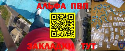 Альфа ПВП Новодвинск