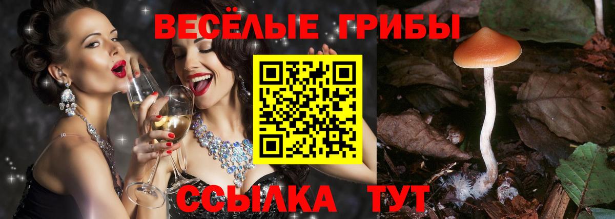 Галлюциногенные грибы ЛСД  Псилоцибиновые грибы GOLDEN TEACHER  Новороссийск  Вход с VPN 
