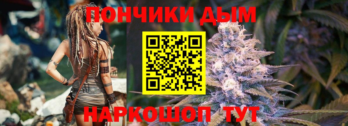 Канабис семена  Конопля Bruce Banner  Новороссийск  Каннабис THC 21%  Вход с VPN 